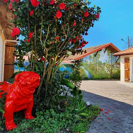 A2pasdelaforet فندق مبيت وإفطار