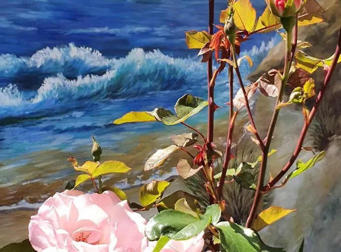 Couette-café A2pasdelaforet