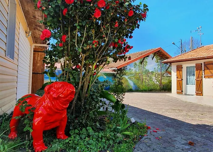 A2pasdelaforet Couette-café